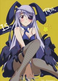 Infinite Stratos IS動畫角色設(shè)定集