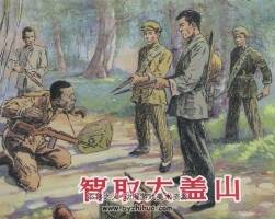 智取大蓋山 2014再版 PDF格式 百度網(wǎng)盤下載 184M