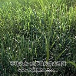 3dsMax 超逼真的草地渲染視頻教程
