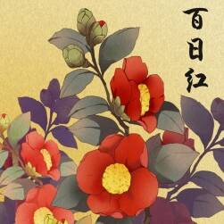 發(fā)張練習(xí)