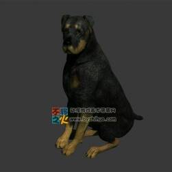 黑狗 Max模型