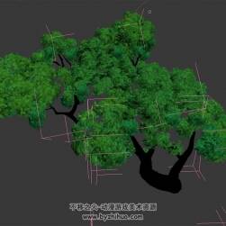 高模树木 3D模型下载 四角面 max格式