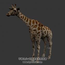 長頸鹿 寫實風 有骨骼綁定和動作 3D模型百度網(wǎng)盤下載