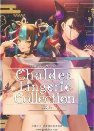 泳衣画集(Air Comiket 2) CHALDEA Lingerie Collection Vol. 5 百度网盘下载