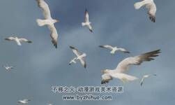 Bird Flock: Seagull v2.4.2 海鷗鳥群動畫模型