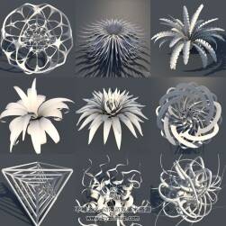 C4D创意3d模型合集 花朵植物等形状分享下载