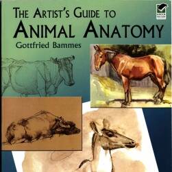 《The Artist's Guide to Animal Anatomy》动物解剖学