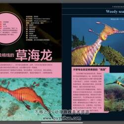 海洋百科 生存系列 PDF格式 百度網(wǎng)盤下載 136P