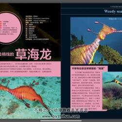 海洋百科 生存系列 PDF格式 百度网盘下载 136P