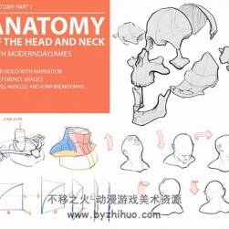 头颈躯干骨骼肌肉 人体解剖学原理教学视频教程
