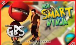 Real Smart Ninja