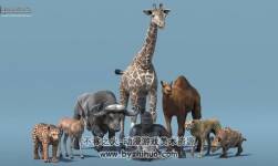 African Animal Pack 2 v 2.0 非洲動物模型資源包