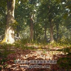 Broadleaf Forest Collection 4.11-4.16
