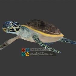 游动的海龟 MAX模型