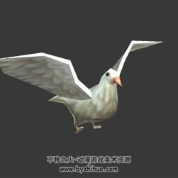 白色的鸽子 3D模型 有绑定和飞行的动作