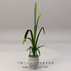 Bonsai plants 办公室景观盆景植物C4D模型