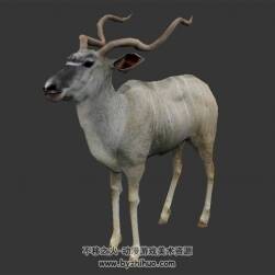 羚羊 寫實風(fēng) 有骨骼綁定和動作 3D模型百度網(wǎng)盤下載