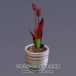 Tulip 绿植盆栽郁金香3D模型C4D格式下载