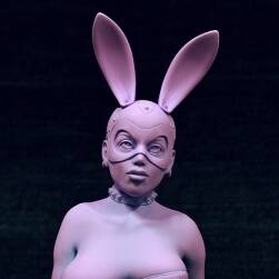 兔女郎 半身像 寫實(shí)3D模型 可打印 百度網(wǎng)盤下載