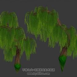 柳树 3D模型