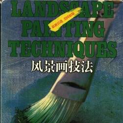 美 大衛(wèi)·劉易斯  水彩和油畫 風(fēng)景畫技法教材 143P