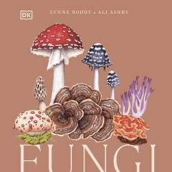 Fungi 真菌物種 藝用素菜參考 百度網(wǎng)盤下載
