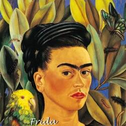 弗里达·卡洛：镜子下  Frida Kahlo 画集