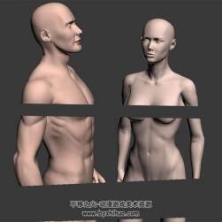 藝用男女3DMax高精模型下載