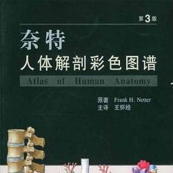 人體解剖學(xué)圖譜 奈特 醫(yī)用藝用參考書(shū) 百度網(wǎng)盤(pán)下載