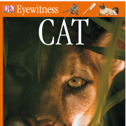 Eyewitness CAT pdf格式 百度网盘分享