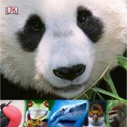 Animals Around the World 動(dòng)物百科圖鑒參考 百度網(wǎng)盤(pán)下載