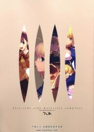 Fate side material complete 人物設(shè)定畫集
