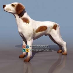 Dog 白色斑点狗 3DS模型