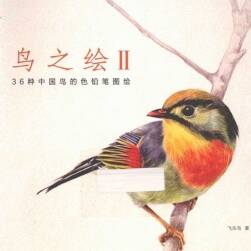 鸟之绘2 36种中国鸟的色铅笔图绘 PDF百度网盘下载