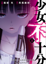 少女不十分 單行本版 服部充 西尾維新 PDF格式 全3卷 百度網(wǎng)盤下載