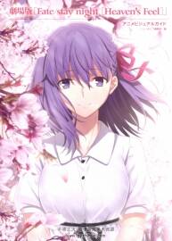 Fatestay night Heaven`s Feel Animation Visual Guide 百度網(wǎng)盤(pán)下載