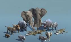 African Animal Pack 1 2.0