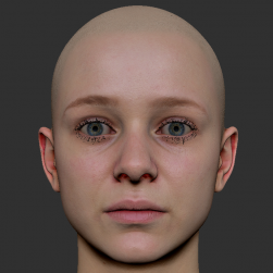 女性角色人頭3D模型 百度網(wǎng)盤下載