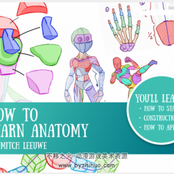 How to Learn Anatomy by Mitch Leeuwe 米奇的人體創(chuàng)作學(xué)習(xí) 百度網(wǎng)盤