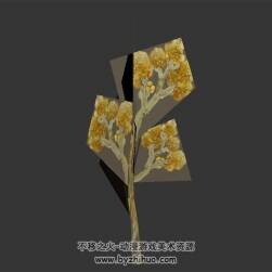 樺樹 max格式植物模型 3D模型下載