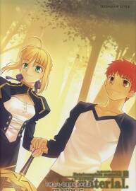 Fate complete material I - Art material 游戲原畫集 1