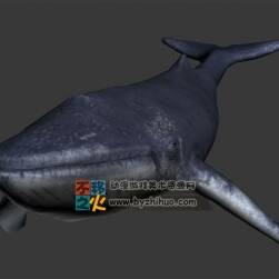 游动的鲸鱼 FBX模型