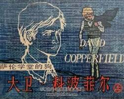 大衛(wèi)·科波菲爾(3冊(cè)) 1983年出版 上美版  PDF格式連環(huán)畫 百度網(wǎng)盤下載 336.5MB