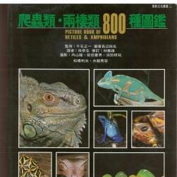 爬虫类 两栖类800种图鉴 爬行动物照片参考资料素材下载
