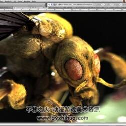 ZBrush 超逼真的昆虫视频教程