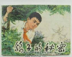 鴿子的秘密 河北人民出版 1976 PDF格式 百度網(wǎng)盤5.22M