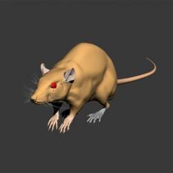 Mouse 老鼠Max模型