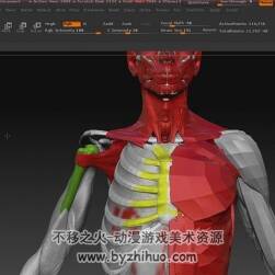 zbrush 人体解剖视频教程 中文教程  47.8GB