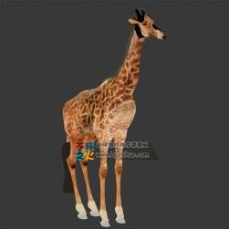 Giraffe 长颈鹿3D模型  格式3DS