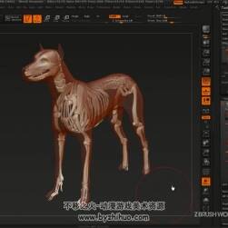 ZBrush解剖学视频教程 人与动物肌肉骨骼结构雕刻教学 附源文件